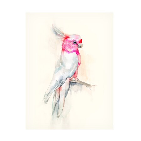 Jennifer Goldberger 'Opera Cockatoo I' Canvas Art, 18x24